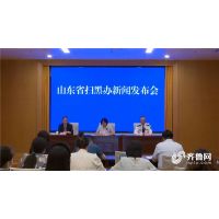 山東“零容忍”嚴(yán)厲打擊整治各類涉礦違法行為 查處案件263件